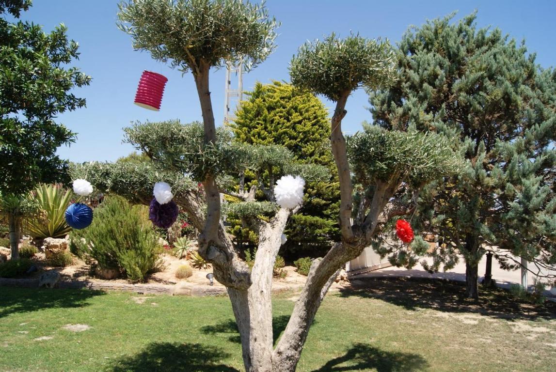 Los Jardines De Lola Daimés Esterno foto