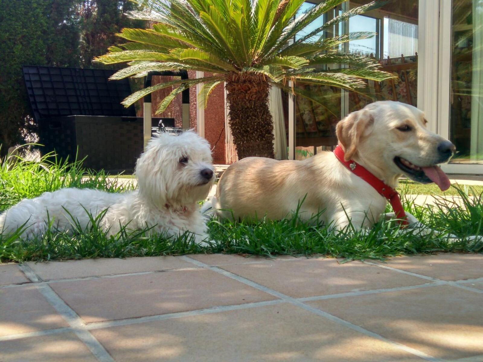 Los Jardines De Lola Daimés Esterno foto