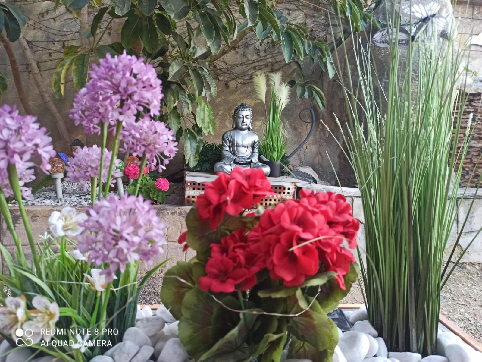 Los Jardines De Lola Daimés Esterno foto